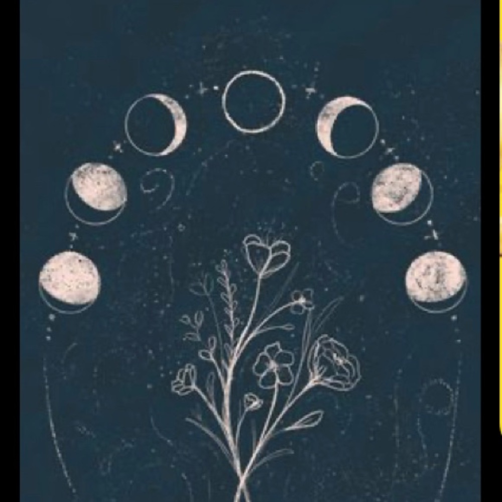 Meet your Posher, Loghan